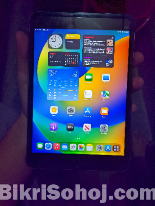 ipad mini 5